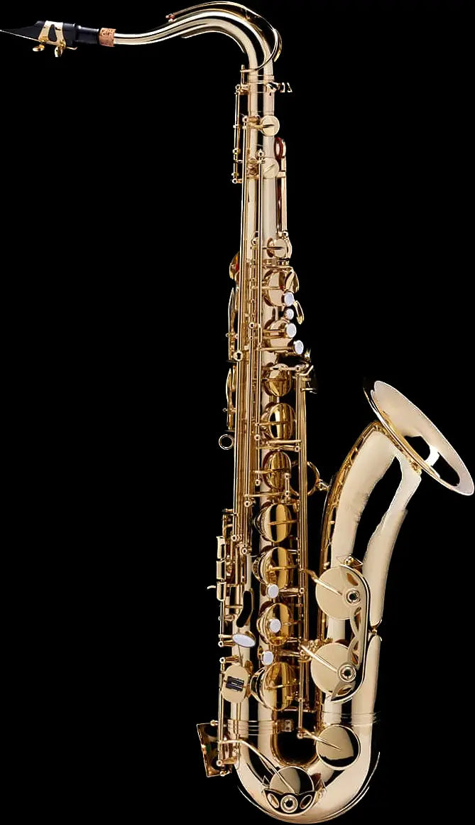 Saxofón Tenor – SAX100