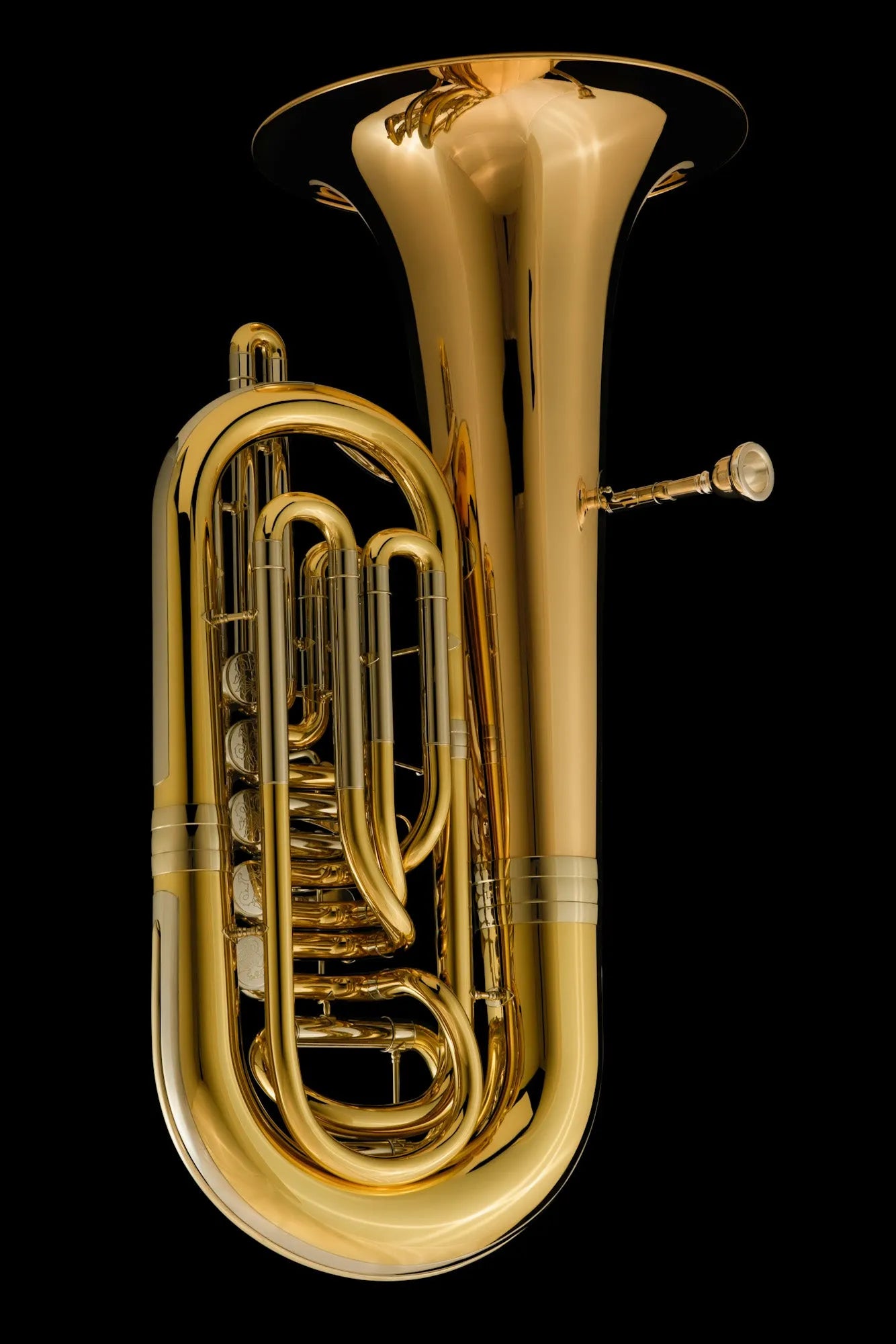 TE495GB Eb Rotary Tuba Back Angle