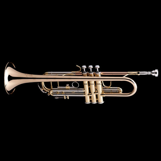 Trompettes aubaho Cornet Acoustique Stéthoscope Trompette l'oreille  décoration 40cm Style Antique 86262