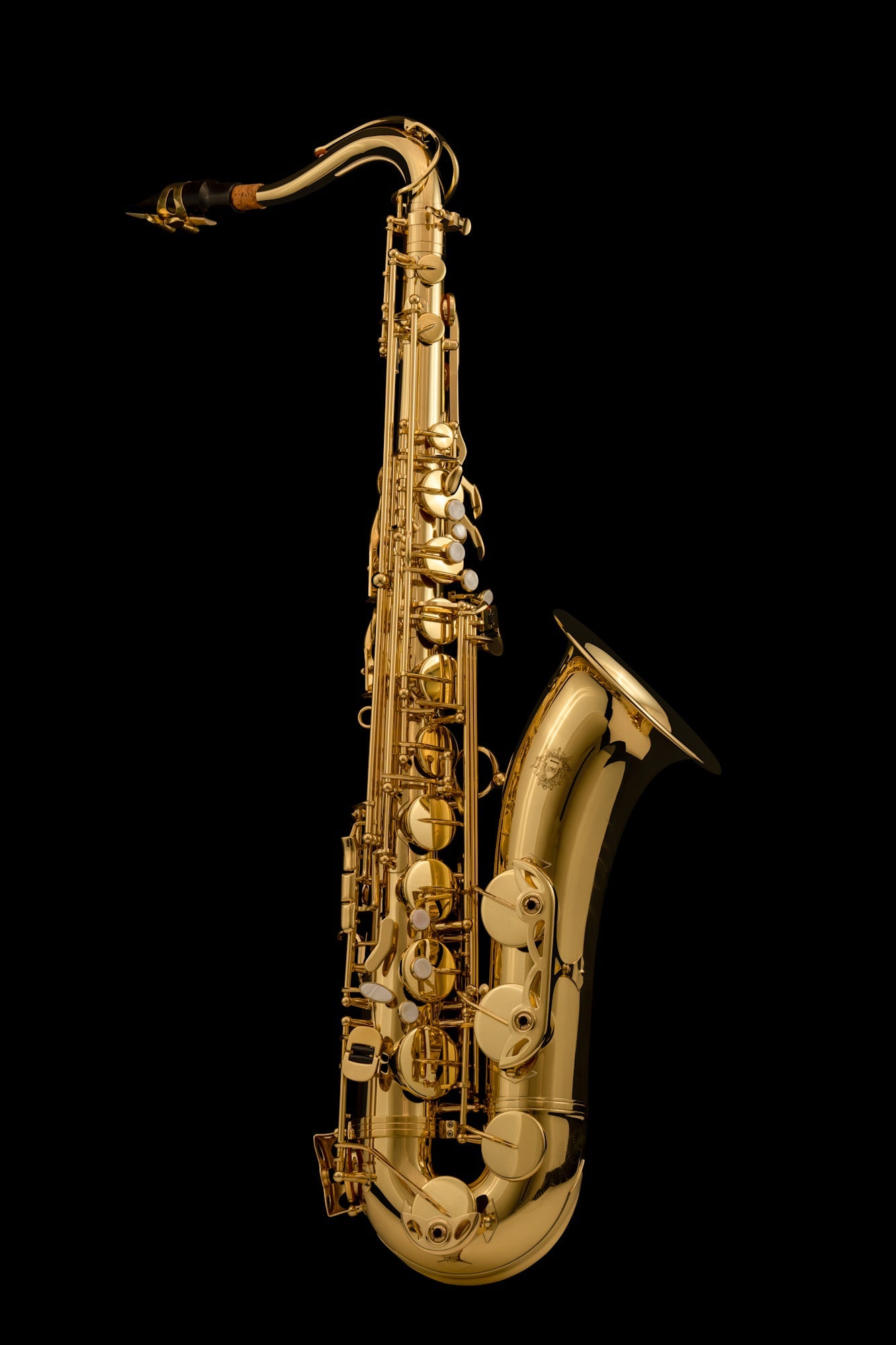 Alto Saxophone – SAX200 – Wessex Tubas