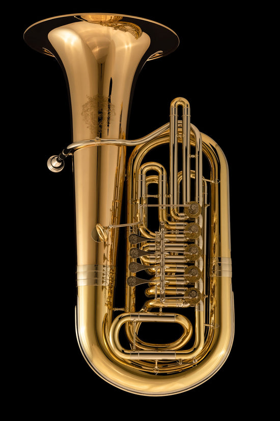 Tuba Rotatoria en Mib 'Danubio' – TE495